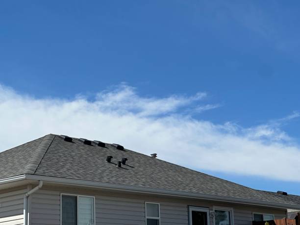 Best Roof Insulation Installation  in Euclid, OH